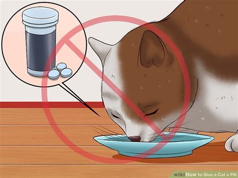 My cats were experts at eating the food and spitting out the pill hidden within. 6 Ways to Give a Cat a Pill