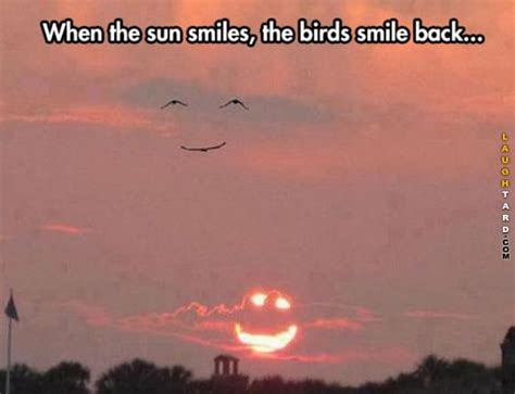when the sun smiles funny relatable memes really funny memes funny quotes