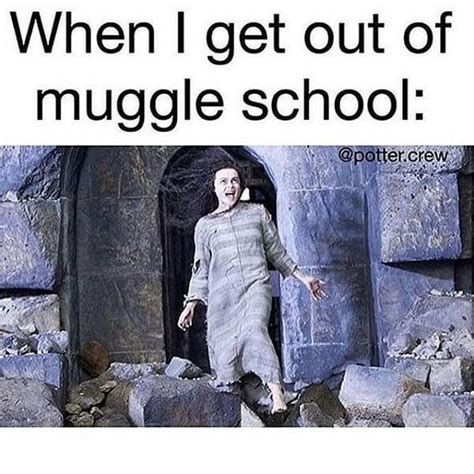 So before you start sending all the memes to everyone you know make sure they have read at least one of the books or watched. 60 Funny Harry Potter Memes - Meme Central