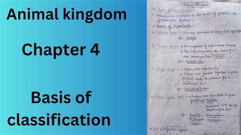 Chapter 4 Animal Kingdombasis Of Classification Ncert Notes For Neet