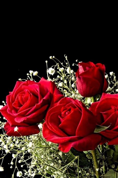 Pin By Sara Moon On Love Red Flower Bouquet Beautiful Flowers Most