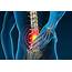 Is Chiropractic Care Effective For Back Pain