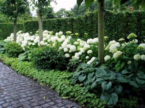 Most Beautiful Hydrangeas Landscaping Ideas To Inspire You