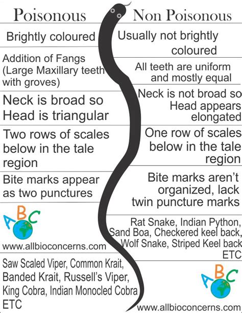 Know The Differences Between Poisonous And Non Poisonous Snakes