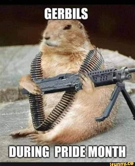 Gerbils During Pride Month Ifunny