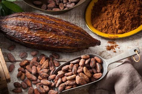 Cacao Nutrition Benefits And Healthy Recipes Balipodo