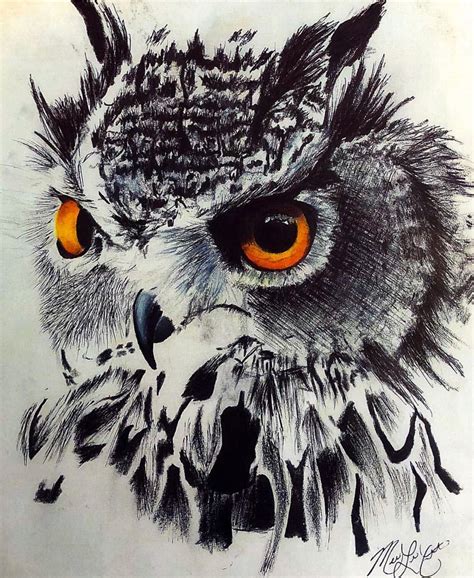 Owl Owls Drawing Owl Drawings