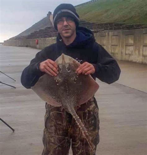 Cod Scarce On The Lancashire Coast Planet Sea Fishing