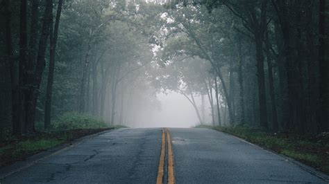 Wallpaper Road Fog Trees Marking Asphalt Hd Picture Image