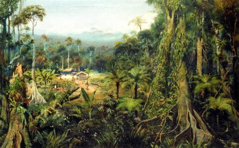 43 Tropical Jungle Wallpaper On Wallpapersafari