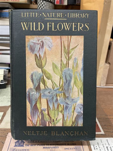 Wild Flowers Worth Knowing Little Nature Library Neltje Blanchan