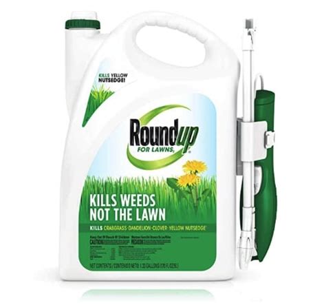 How To Choose A Good Weed Killer For Zoysia Grass Gfl Outdoors
