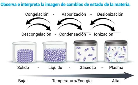 Cambios De Estado De La Materia Escolar Abc Color