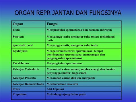 Ppt Anatomi Dan Fisi Ologi Reproduksi Ternak Oleh Nurul Isnaini