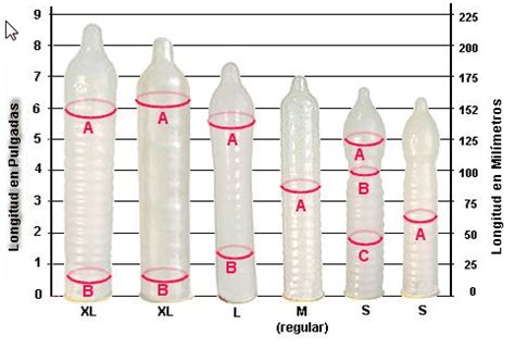 Face to sex TAMAÑO DEL PENE UNA CARACTERÍSTICA IMPORTANTE