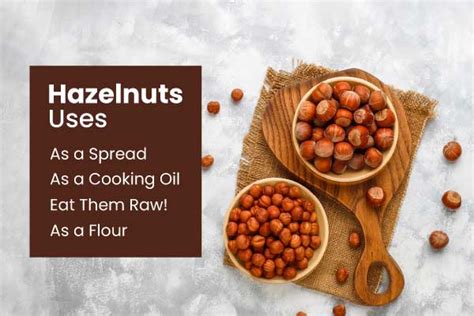Hazelnut Benefits Nutrition Facts And Their Uses