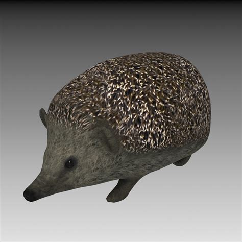 Hedgehog Mother 3d Model 35 Stl Unknown Obj Max Ige Blend 3dm