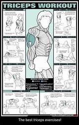 Best Tricep Exercises Pictures