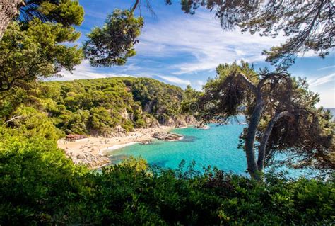 Bay Of Sa Boadella In Lloret De Mar Stock Photo Image Of Landscape Beach