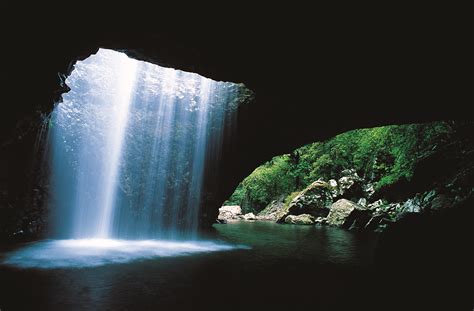 Springbrook National Park Kansai Scene Magazine