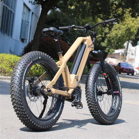 Thoughts This Ebike Dual Battery 1000w Fat Tire Ordered It Off