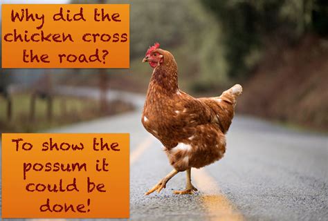 Chicken Cross The Road