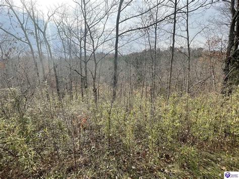 11 acres in Breckinridge County, Kentucky