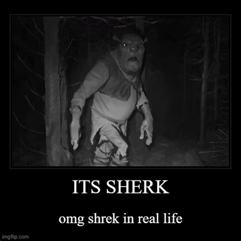 Shrek In Real Life Imgflip