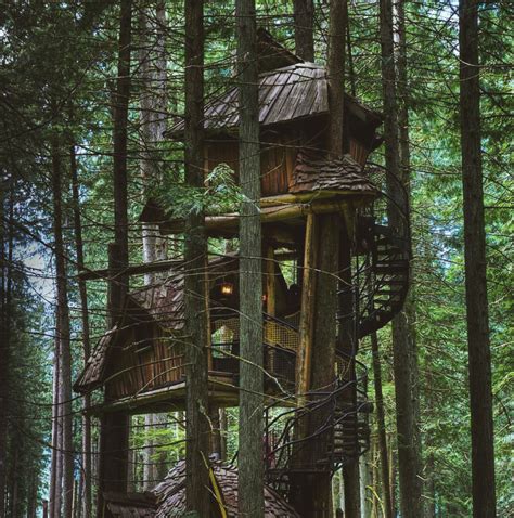Visual Junkee Tree House At The Enchanted Forest British