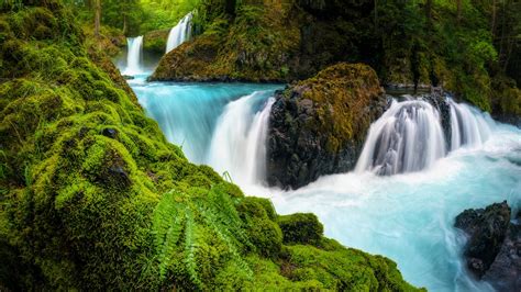 Wasserfälle Columbia River Gorge Washington Usa Steine Moos