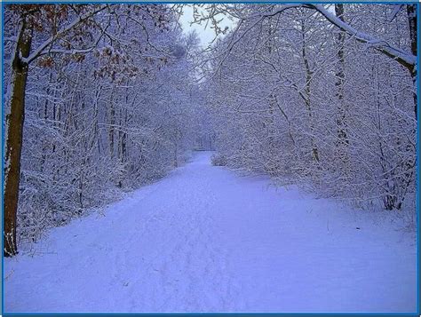 Winter Scene Screensaver Download Free