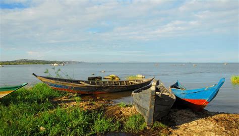Lake Victoria Cse Lays Out Strategy To Manage Water Quality In Tanzania