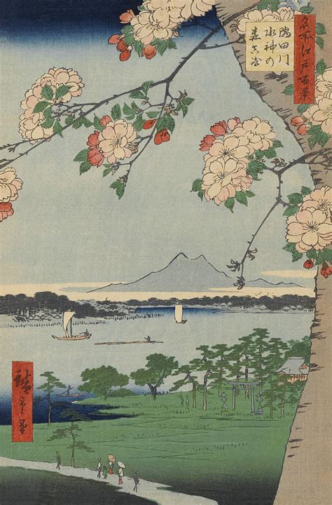 Cherry Blossoms On Spring River Ukiyo E Japanese Art Drawing By