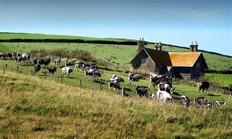 Countryside Stewardship Targeting Statements Published — The Cornwall