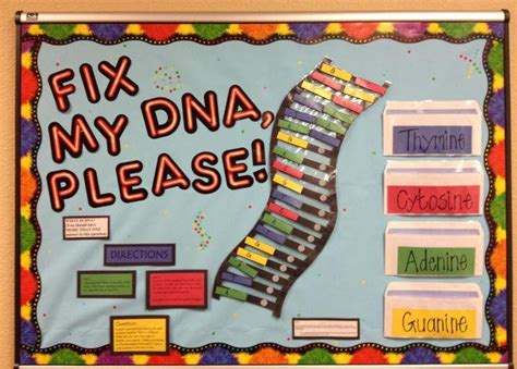 21 Fun And Fascinating Science Bulletin Board Ideas For Your Classroom