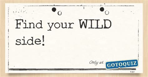 Find Your Wild Side