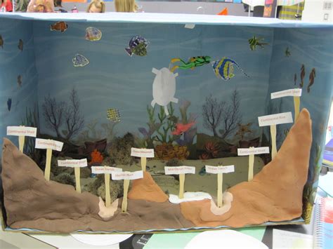 Img0018 3648×2736 Pixels Ocean Projects 5th Grade Science