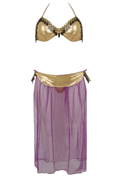 Dreamgirl Purple And Gold Belly Dancer Outfit