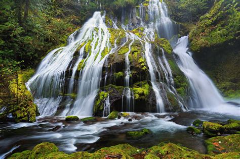 Wallpaper Forest Waterfall Nature River Stream Rainforest