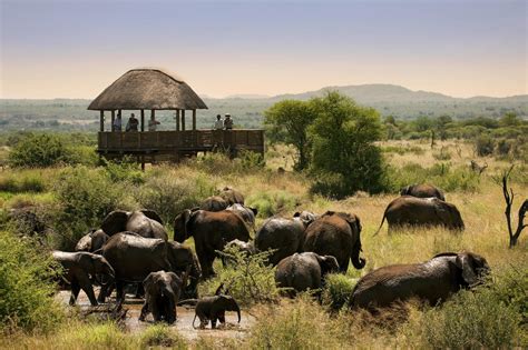 Madikwe Game Reserve Big 5 Spotten Beste Reistijd Oryx Travel