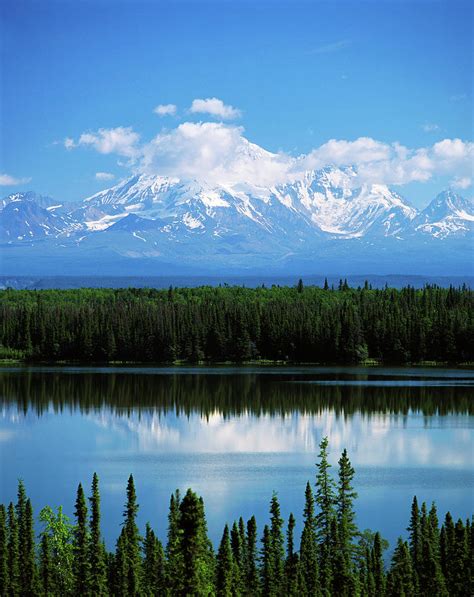 Usa Alaska Willow Lake And Mt Photograph By Adam Jones Fine Art America