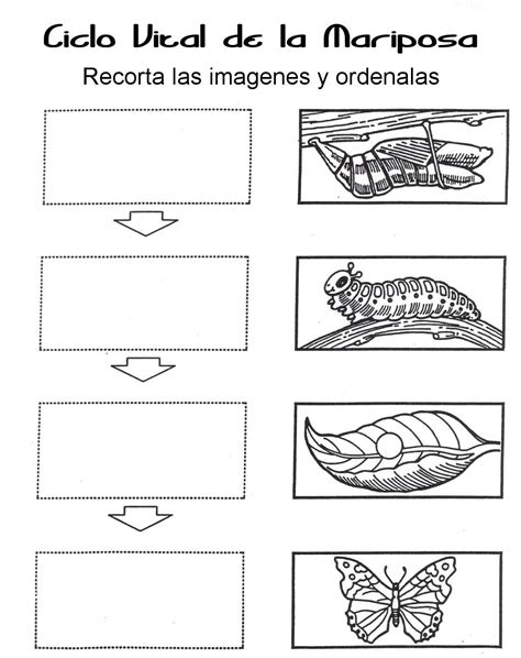 Menta Más Chocolate Recursos Y Actividades Para EducaciÓn Infantil