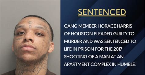 Houston Gang Member Sentenced To Life In Prison For 2017 Murder In