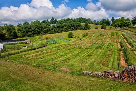 Homestead Hill Farm: Rich in Other Ways
