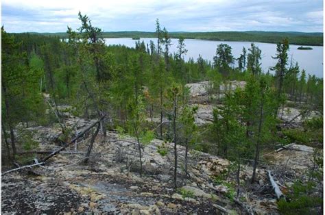 New Study Shows Surprising Effects Of Fire In North Americas Boreal