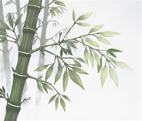 Bamboo Animation Driverlayer Search Engine