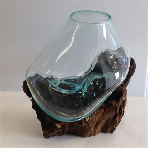Hand Blown Molten Glass And Wood Root Sculptured Terrarium Vase Fi