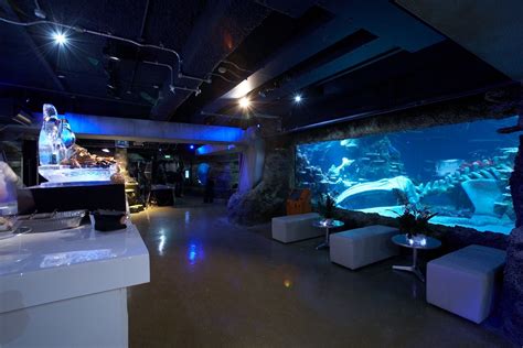 Sea Life London Aquarium Eventspiration