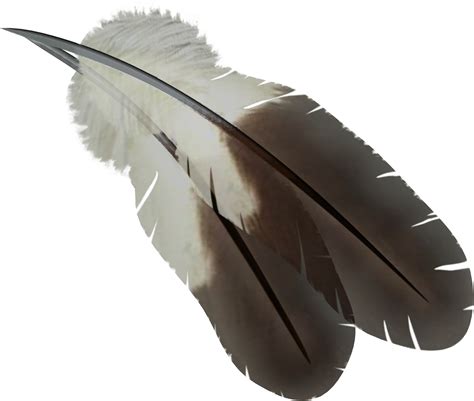 Feather Clip Art Png