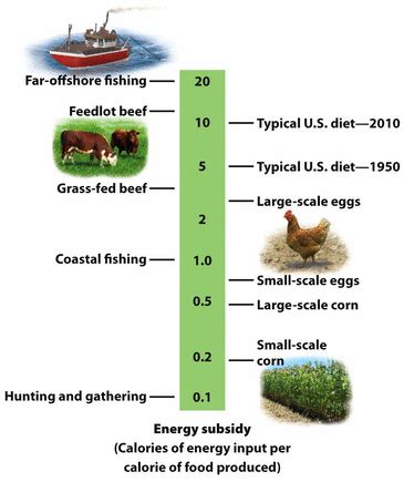 Which farming system is better for our future and can sustainable agriculture feed the world? Energy Subsidies - Chapter 11: Feeding the World